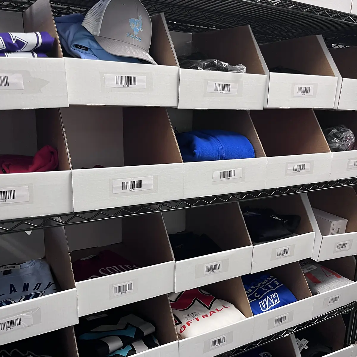 Athletes in action